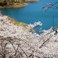 大野ダム公園