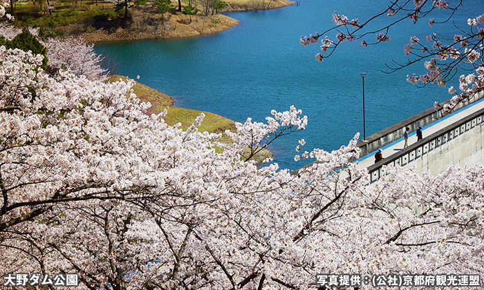 大野ダム公園