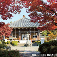 櫟野寺　いちいの観音様