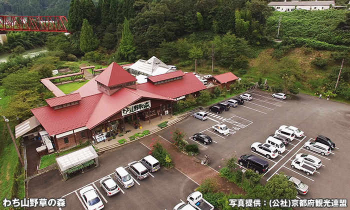 わち山野草の森