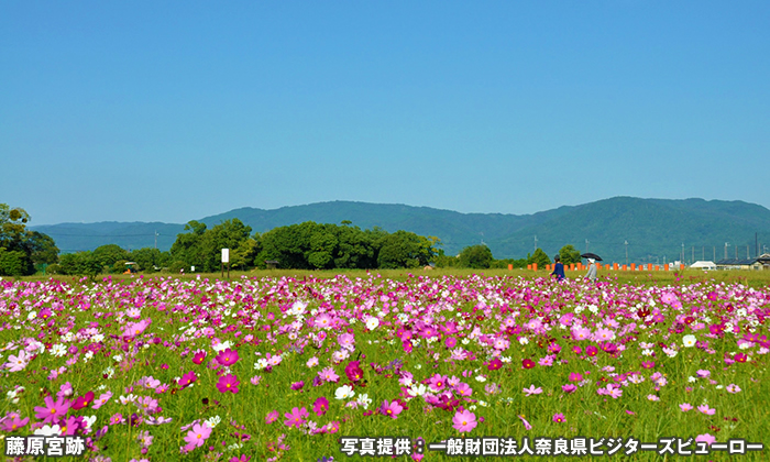 藤原宮跡