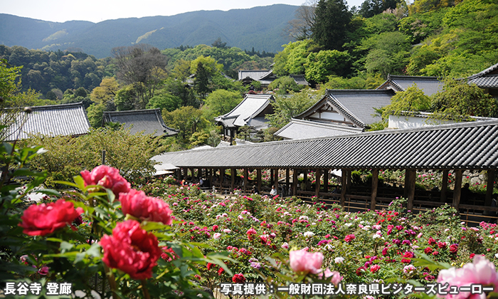 長谷寺