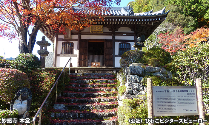 妙感寺