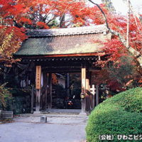 長寿寺