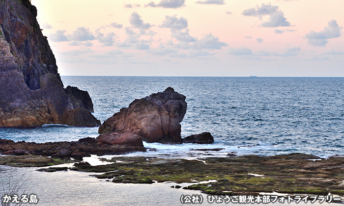 かえる島