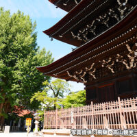 飛騨国分寺