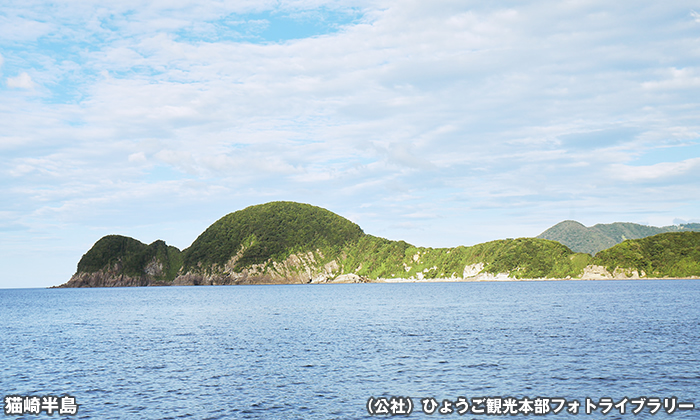 猫崎半島