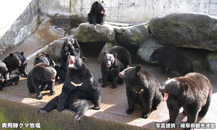 奥飛騨クマ牧場