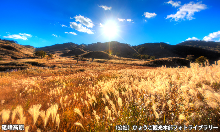 砥峰高原