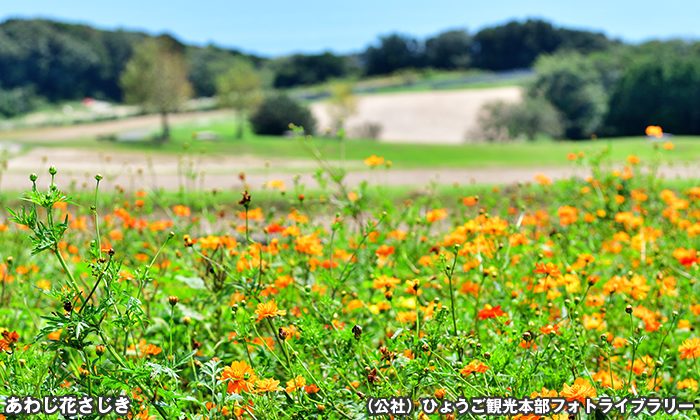 あわじ花さじき