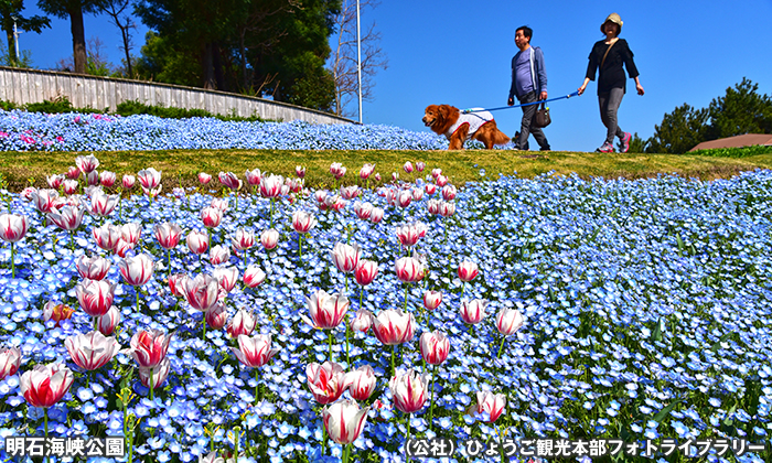 明石海峡公園