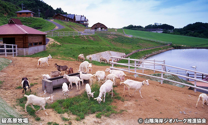 碇高原牧場