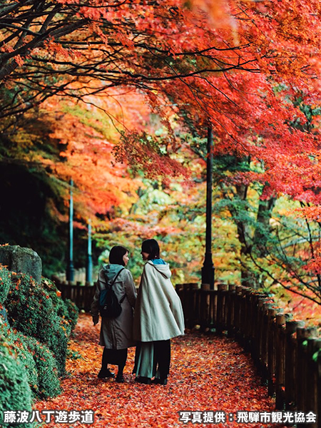 藤波八丁遊歩道