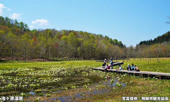 池ヶ原湿原