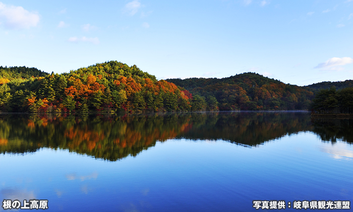 根の上高原