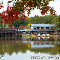 美女高原公園