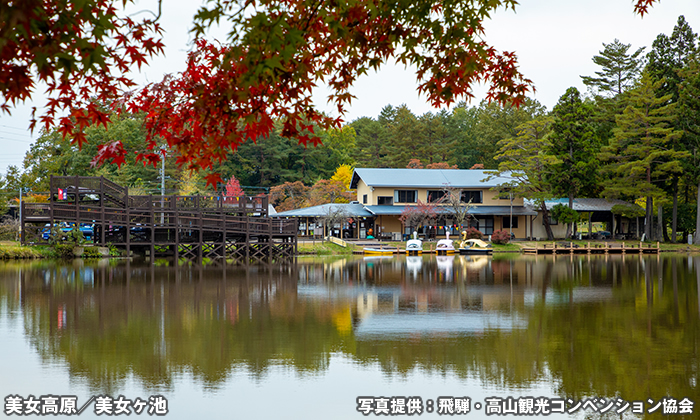 美女高原公園