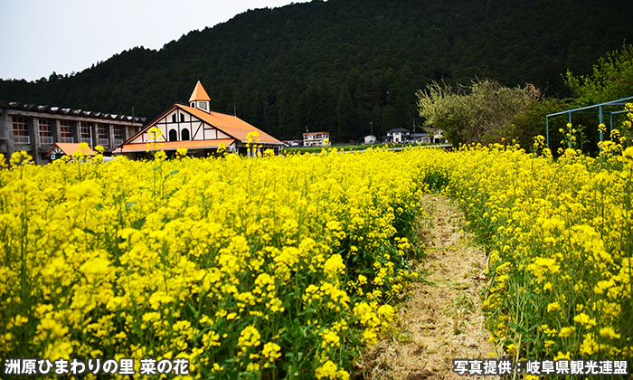 洲原ひまわりの里