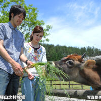 天空の牧場 奥飛騨山之村牧場