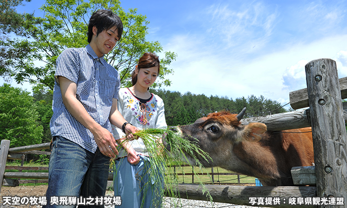 天空の牧場 奥飛騨山之村牧場