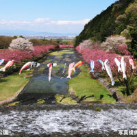 羽根谷だんだん公園