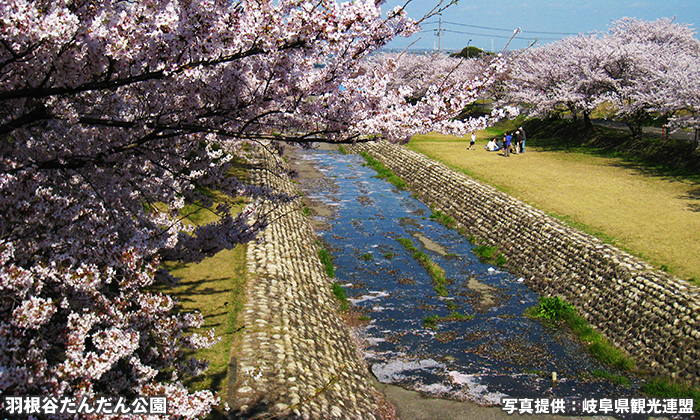 羽根谷だんだん公園