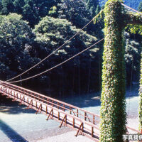 恋のつり橋