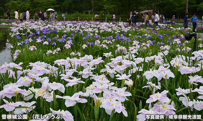 曽根城公園