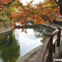 水門川遊歩道 四季の路