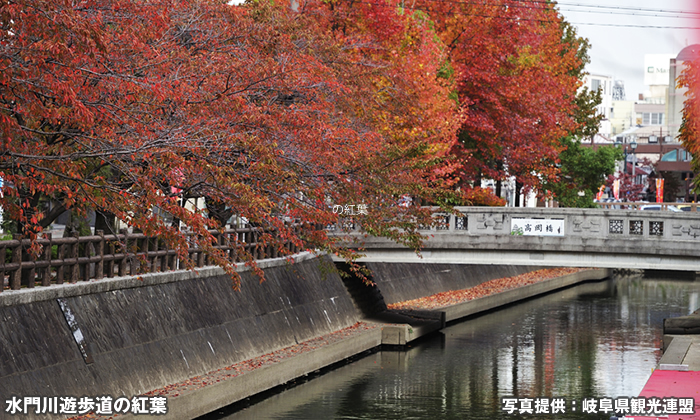 水門川遊歩道 四季の路