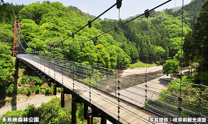 多良峡森林公園