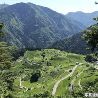 天空の遊歩道