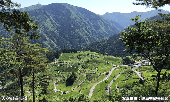 天空の遊歩道