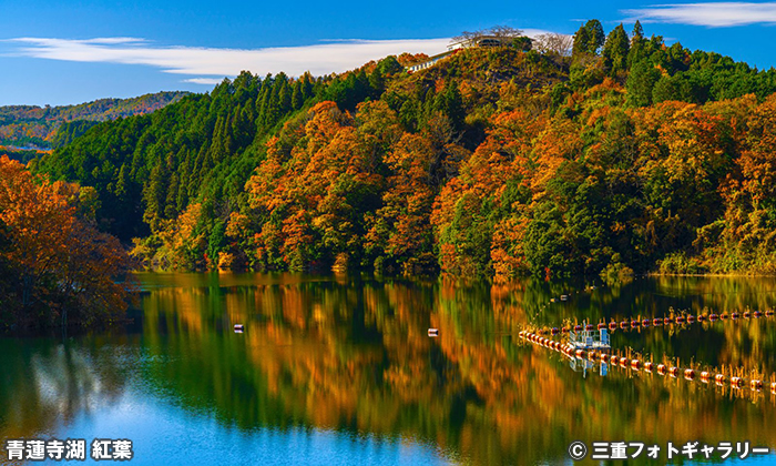 青蓮寺湖