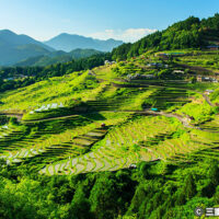 丸山千枚田