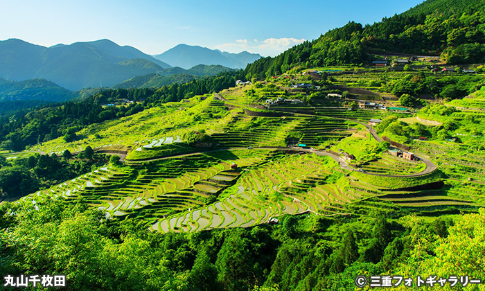 丸山千枚田