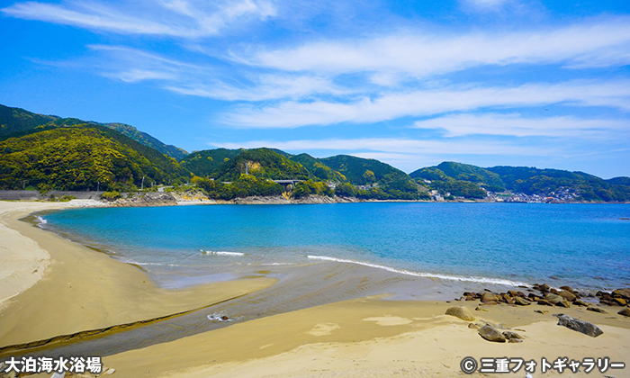 大泊海水浴場