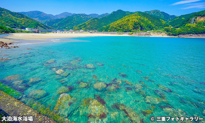 大泊海水浴場