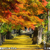 積田神社