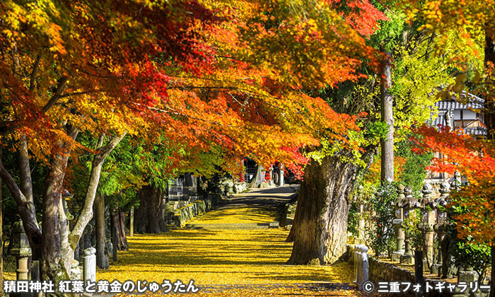 積田神社