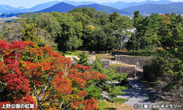 上野公園