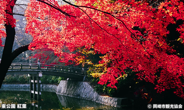 東公園 紅葉まつり