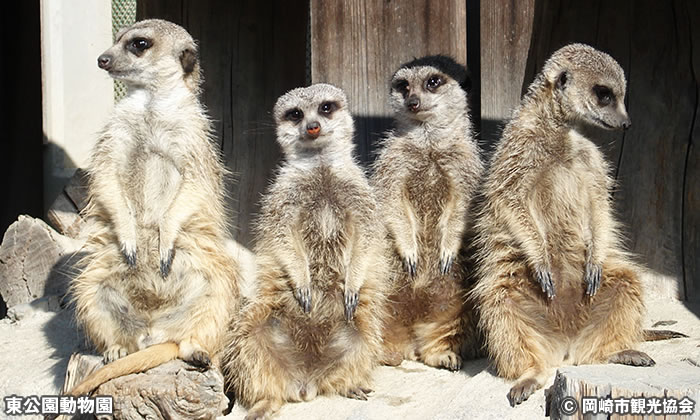 東公園動物園