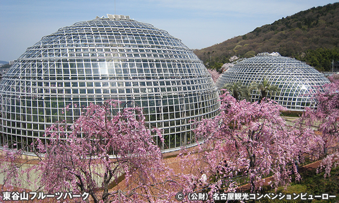 東谷山フルーツパーク