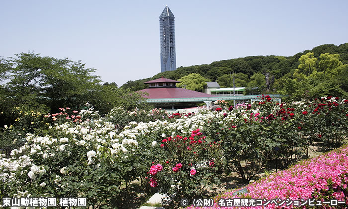 東山動植物園