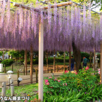 曼陀羅寺公園