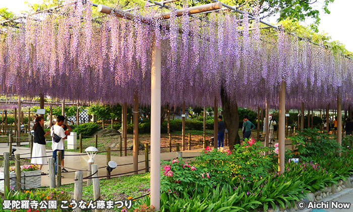 曼陀羅寺公園