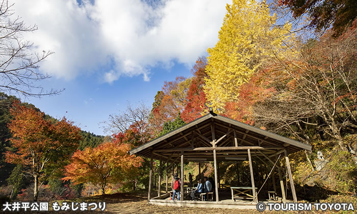 大井平公園