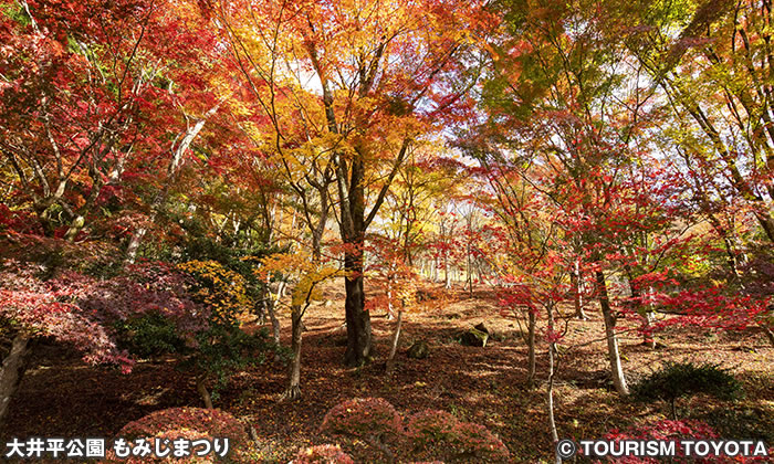 大井平公園