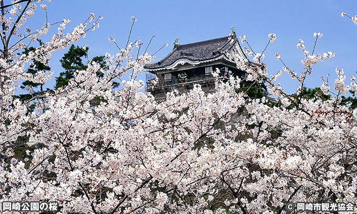 岡崎公園